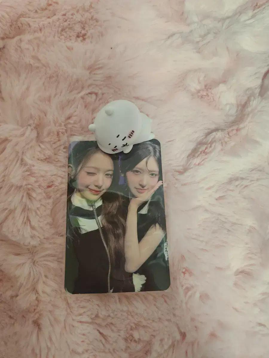 아이브 팬콘 2일차 다이브존 양도