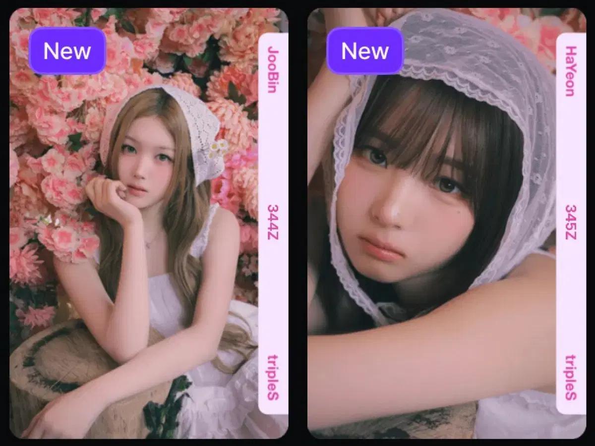 트리플에스 벛꽃 오브젝트 bb344 bb345