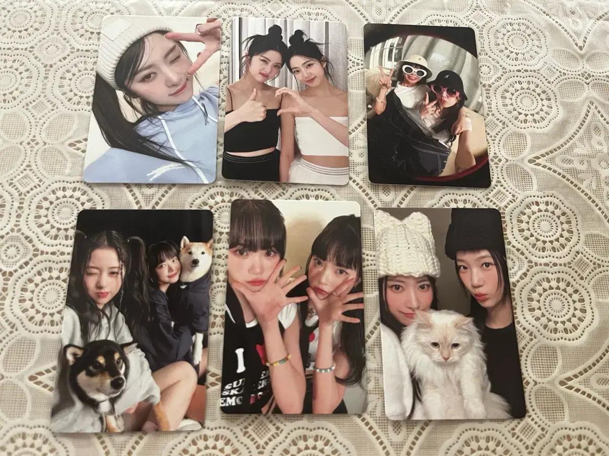 르세라핌 포카 일괄