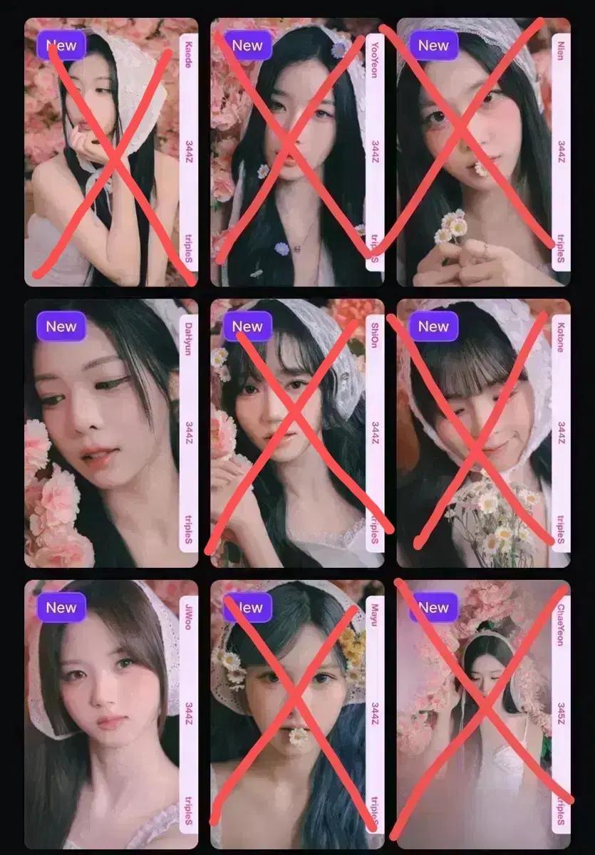 트리플에스 벚꽃 오브젝트 판매합니다