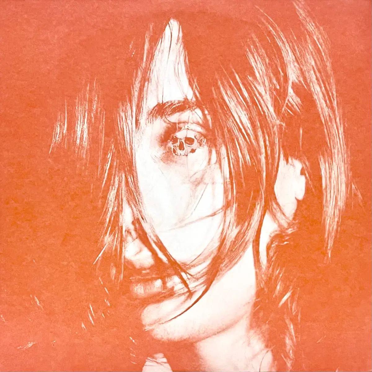 슈게이징LP 디어헌터 Deerhunter -Microcastle