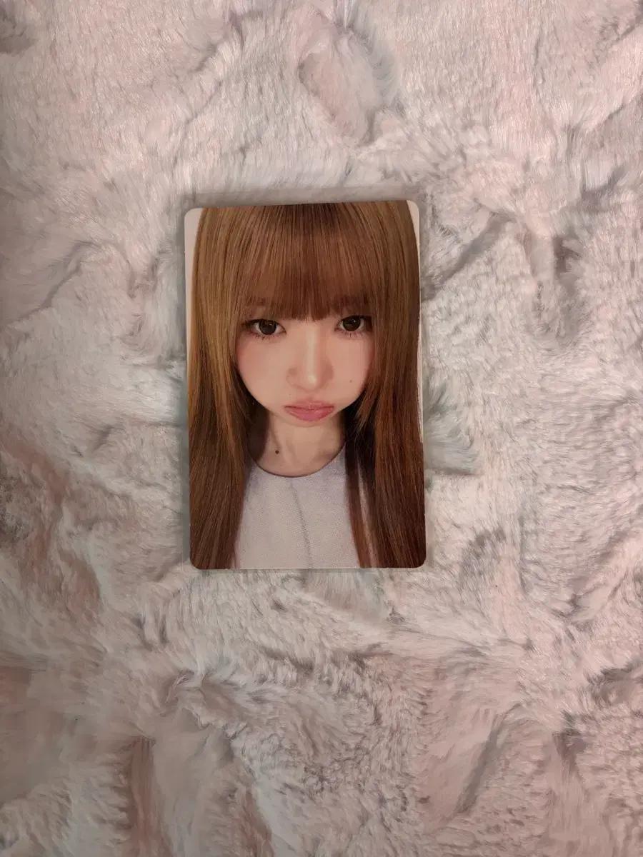 아이브레이 아이브리바이브위드뮤 레이포카 양도