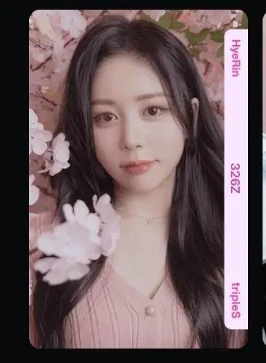 트리플에스 오브젝트 혜린 C326 벚꽃 양도