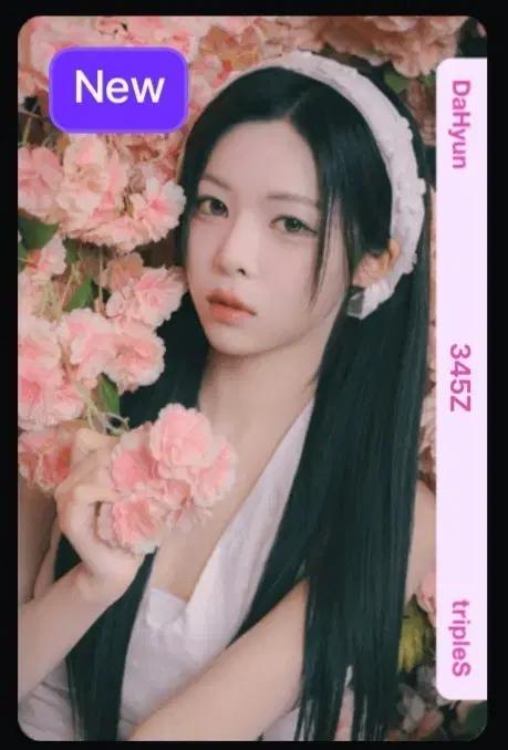 트리플에스 다현 345 오브젝트