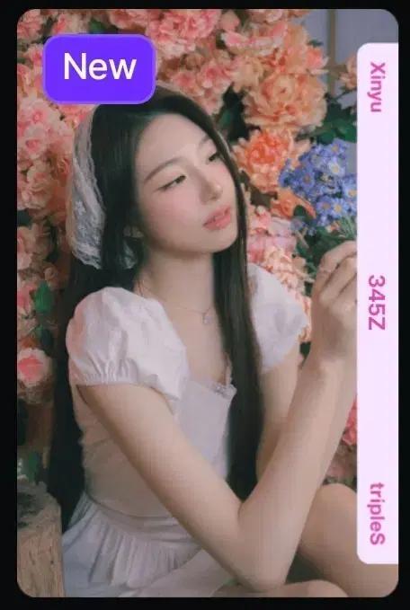 트리플에스 신위 345 오브젝트