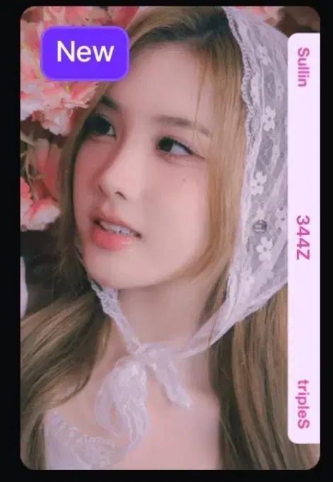 트리플에스 설린 344 오브젝트