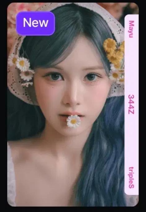 트리플에스 마유 344 오브젝트