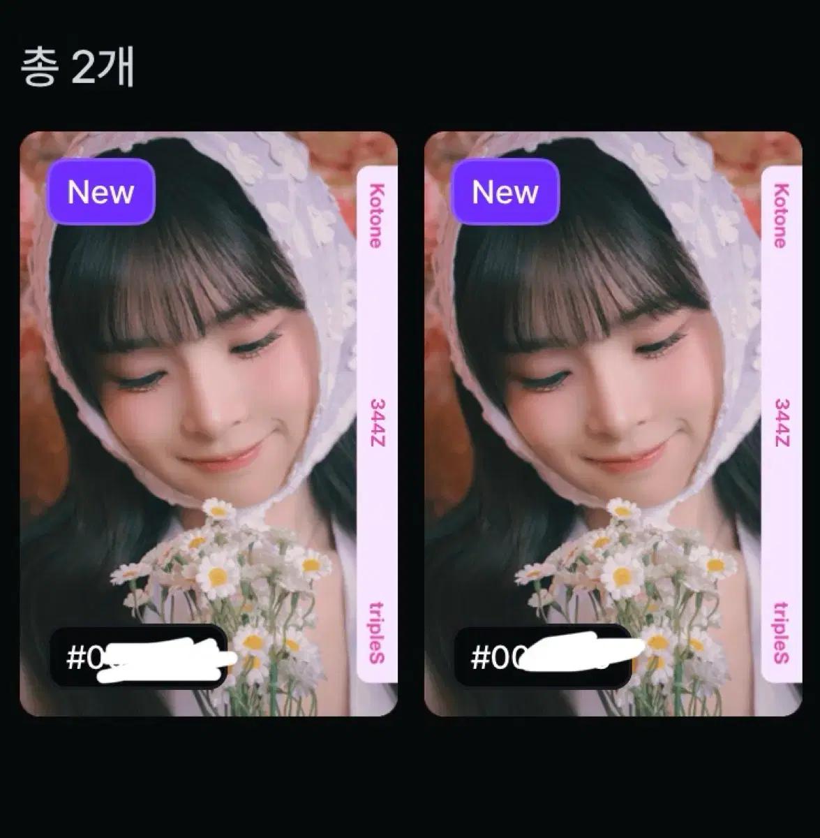 트리플에스 코토네 벚꽃 오브젝트 bb344 블라썸 옵젝