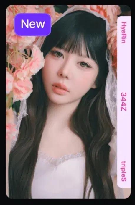 트리플에스 혜린 344 오브젝트