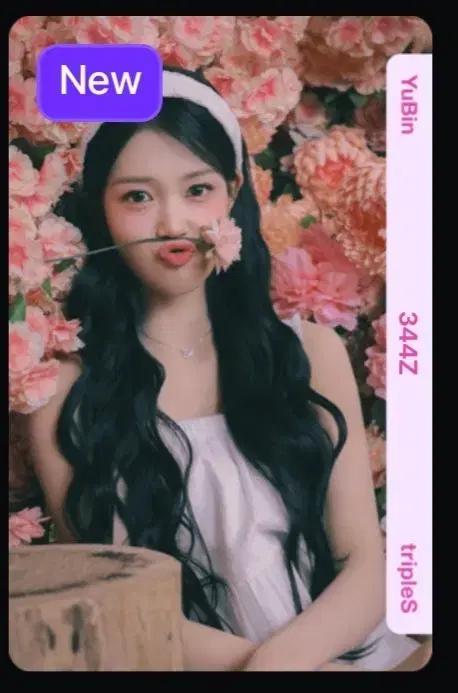 트리플에스 유빈 344 오브젝트