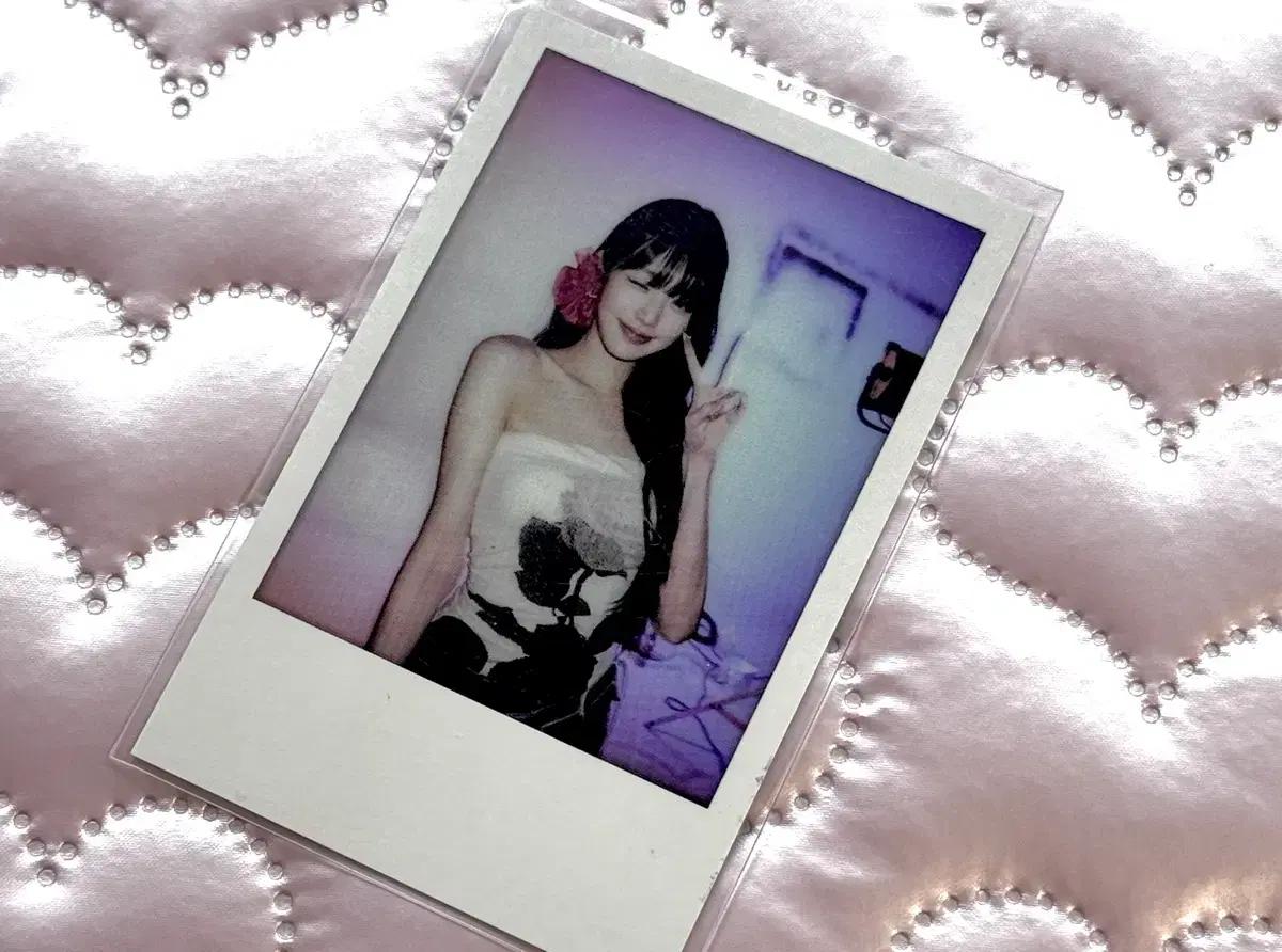 아이브 장원영 스위치 사운드웨이브 럭드 폴라 포카 판매