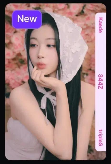 트리플에스 카에데 344 오브젝트