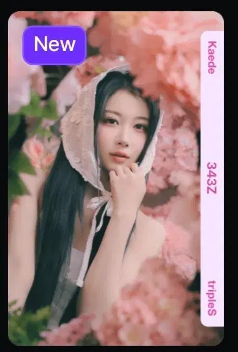 트리플에스 카에데 343 오브젝트