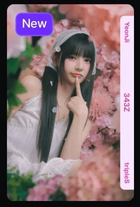 트리플에스 연지 343 오브젝트