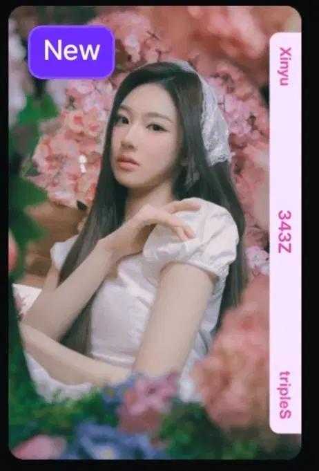 트리플에스 신위 343 오브젝트