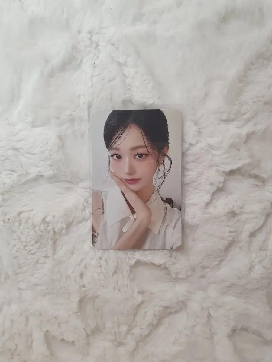 아이브 2025 시그 원영