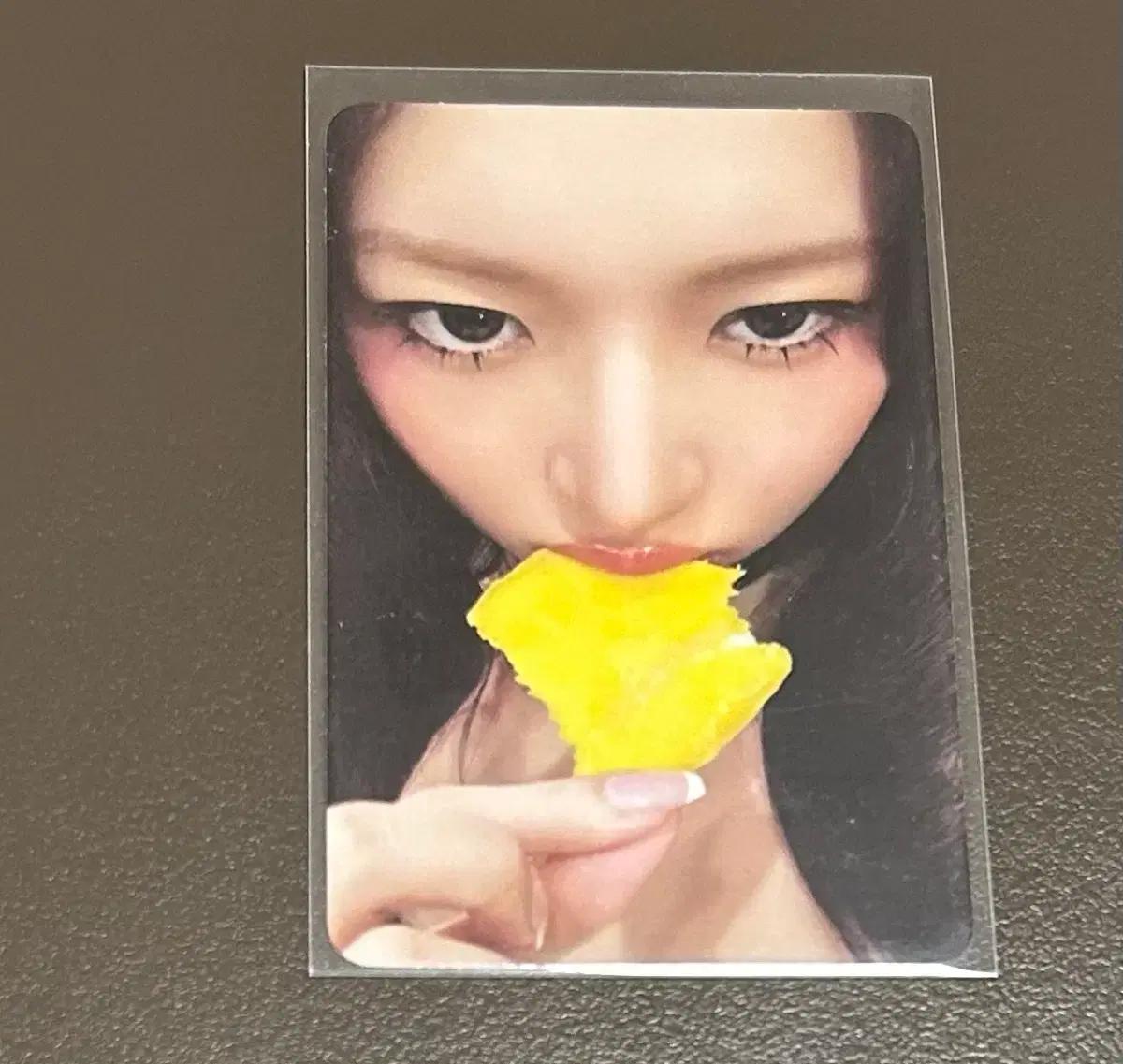 아이브 레이 앨포 포카 양도