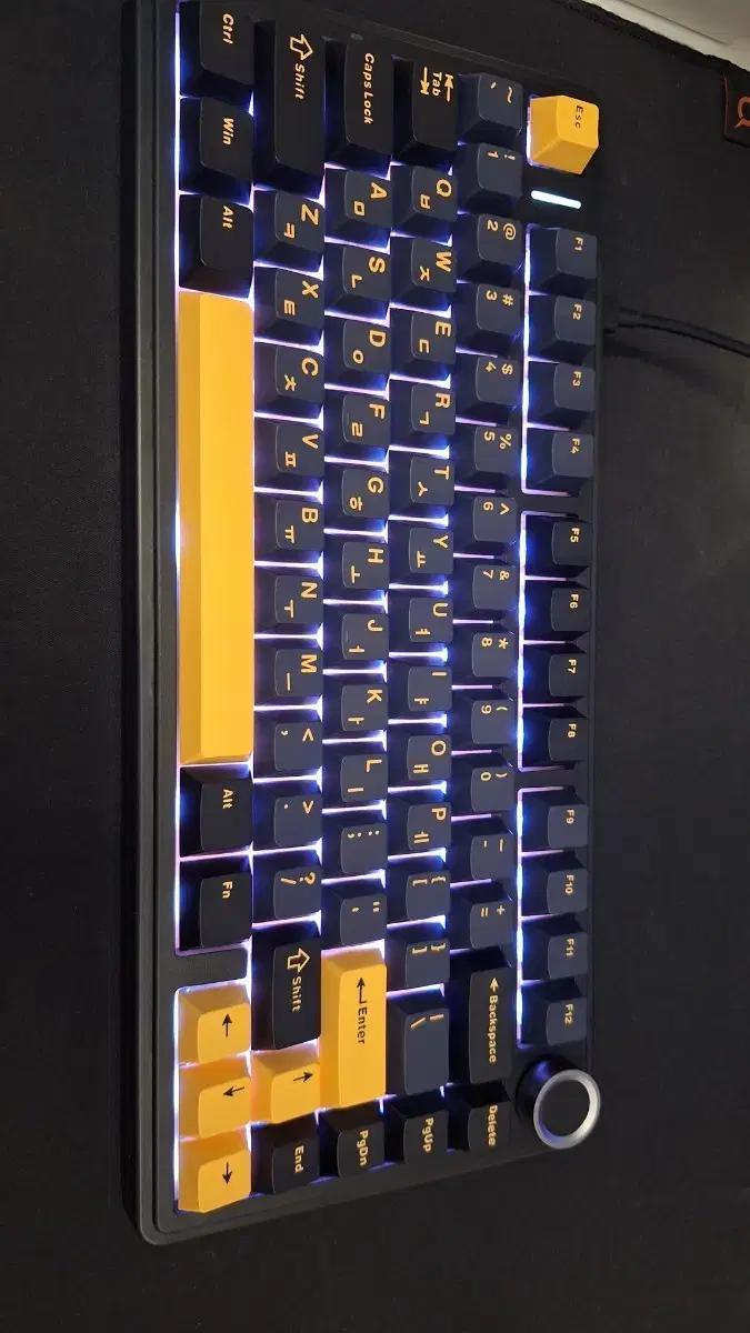 AULA F75 회목축