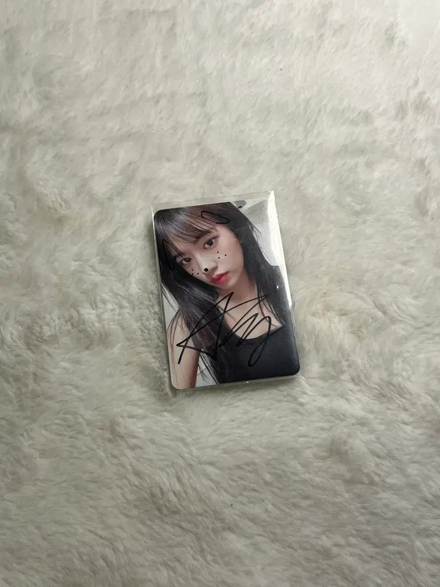 아이브 유진 싸인포카