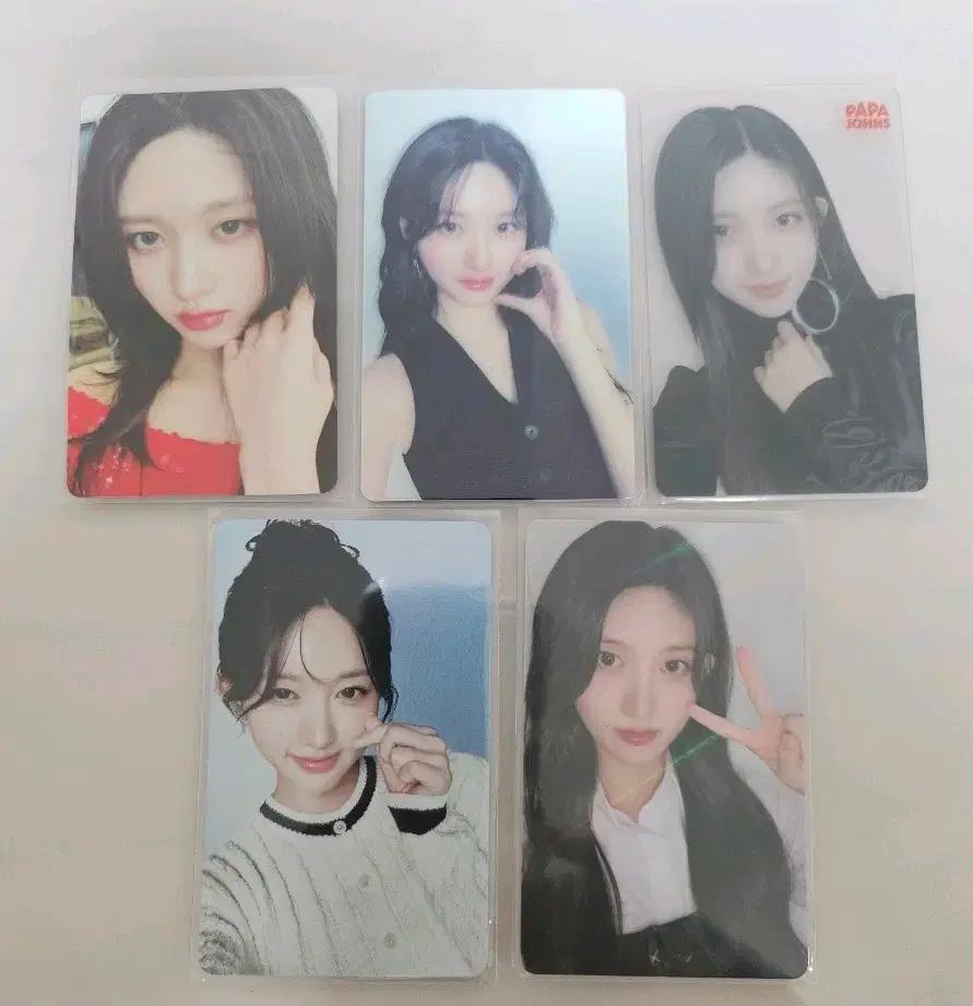아이브 가을 파파존스 일괄