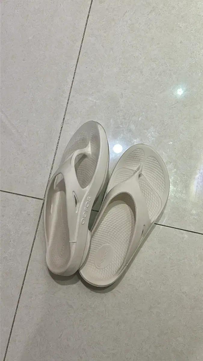 우포스 쪼리