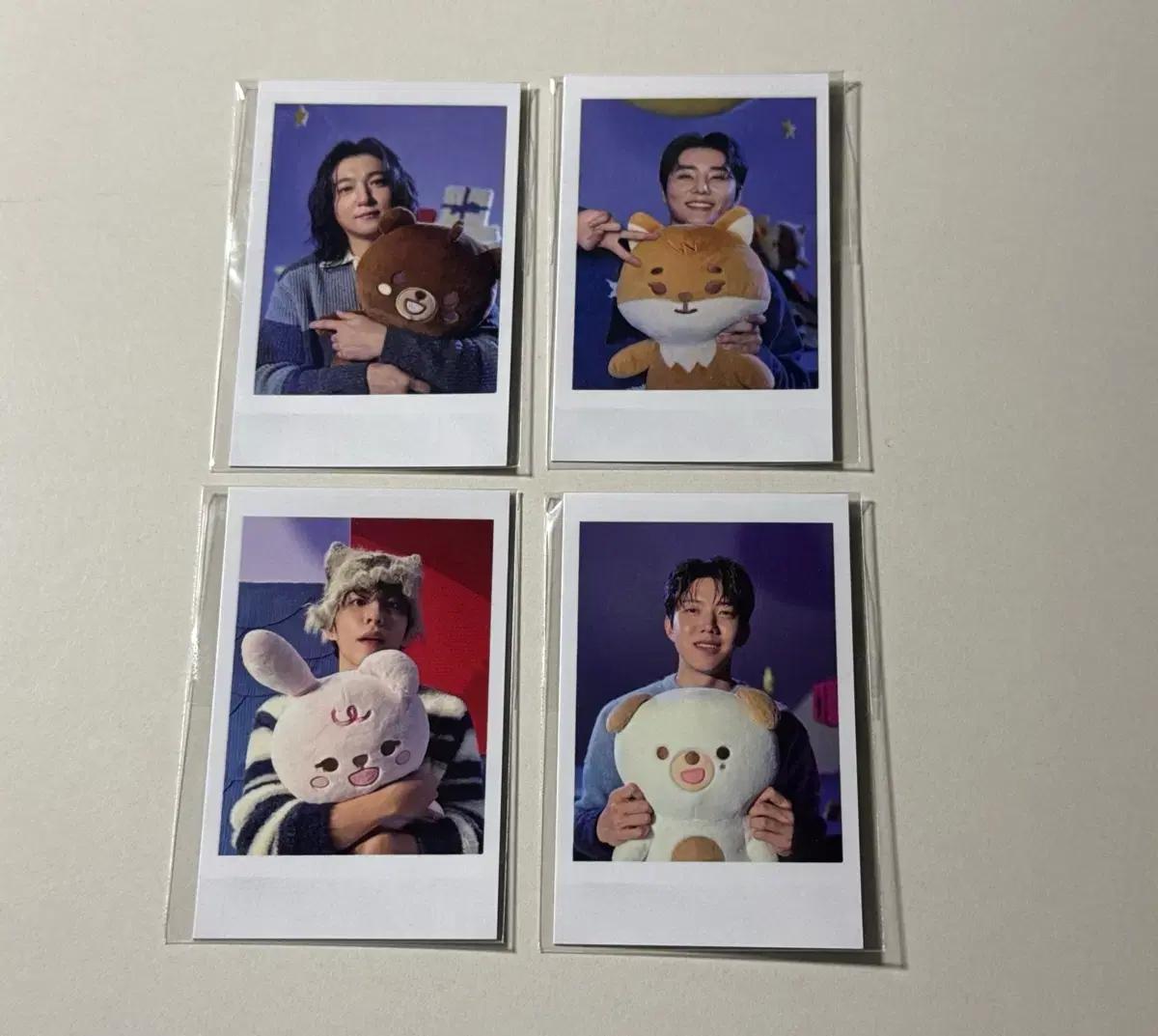데이식스 쁘자멀 폴라 양도 성진 영케이 원필 도운