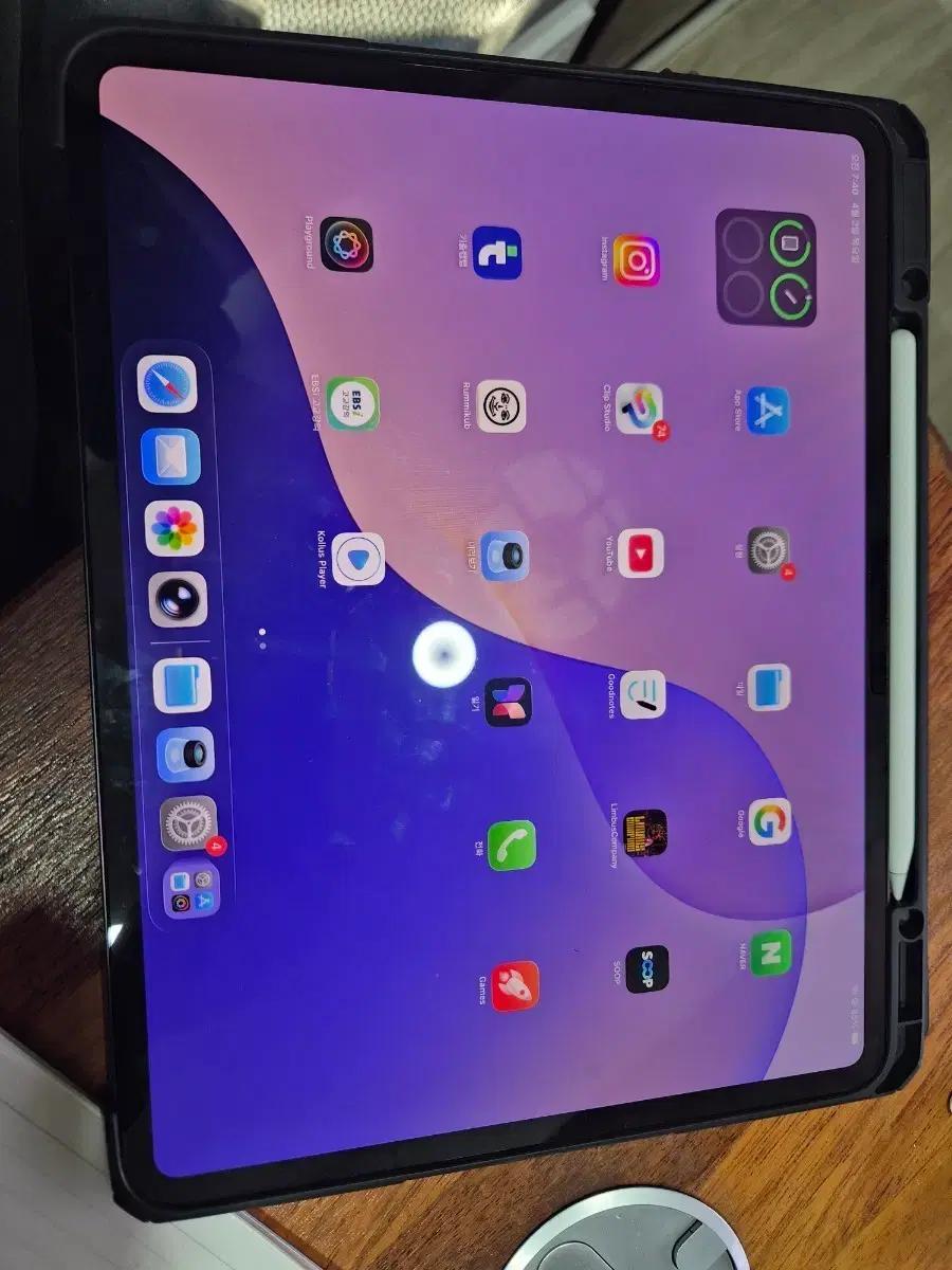 아이패드 프로 13 m4 셀룰러 512 + 애플펜슬