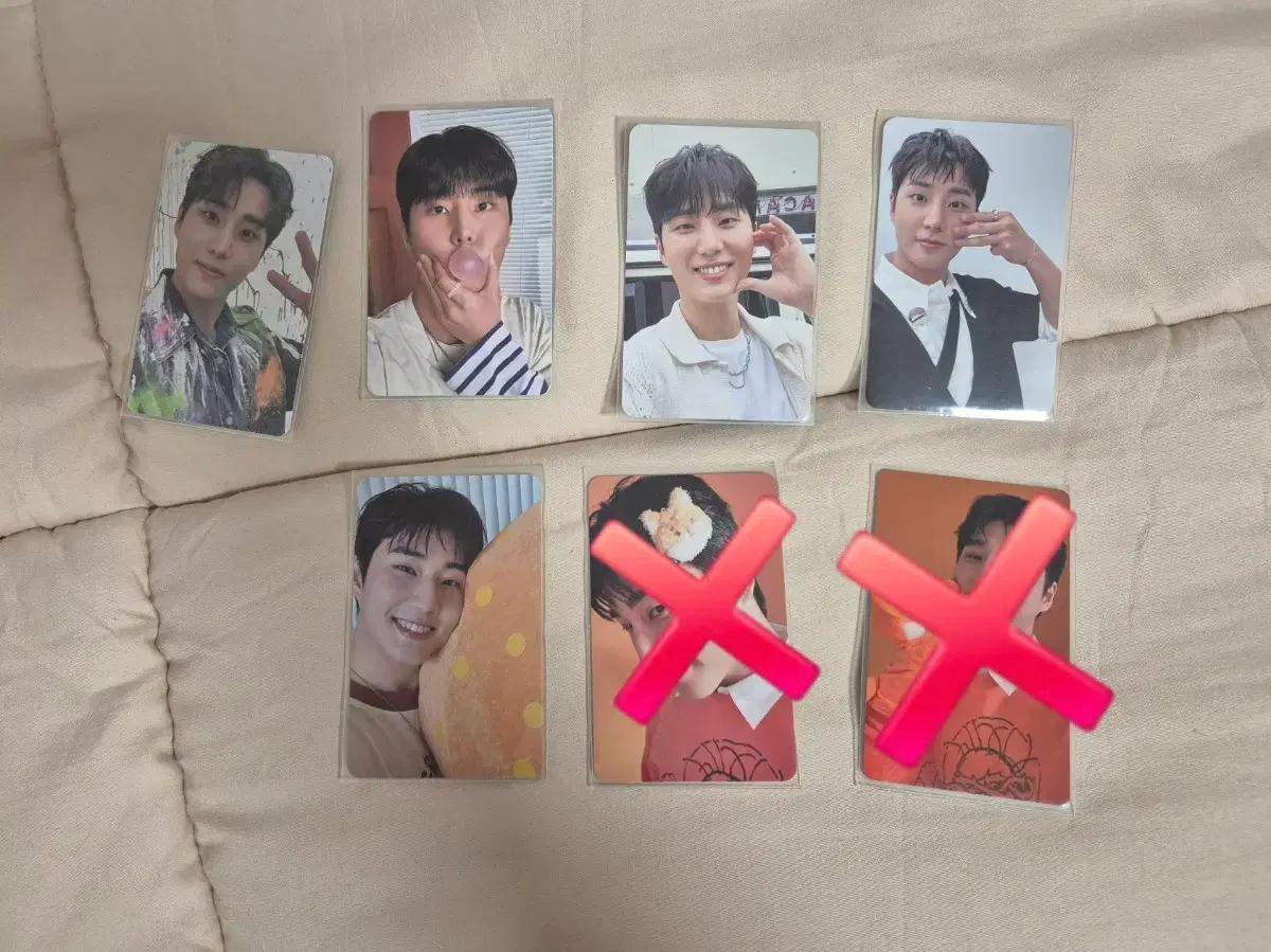 데이식스 영케이 포카 개별 판매