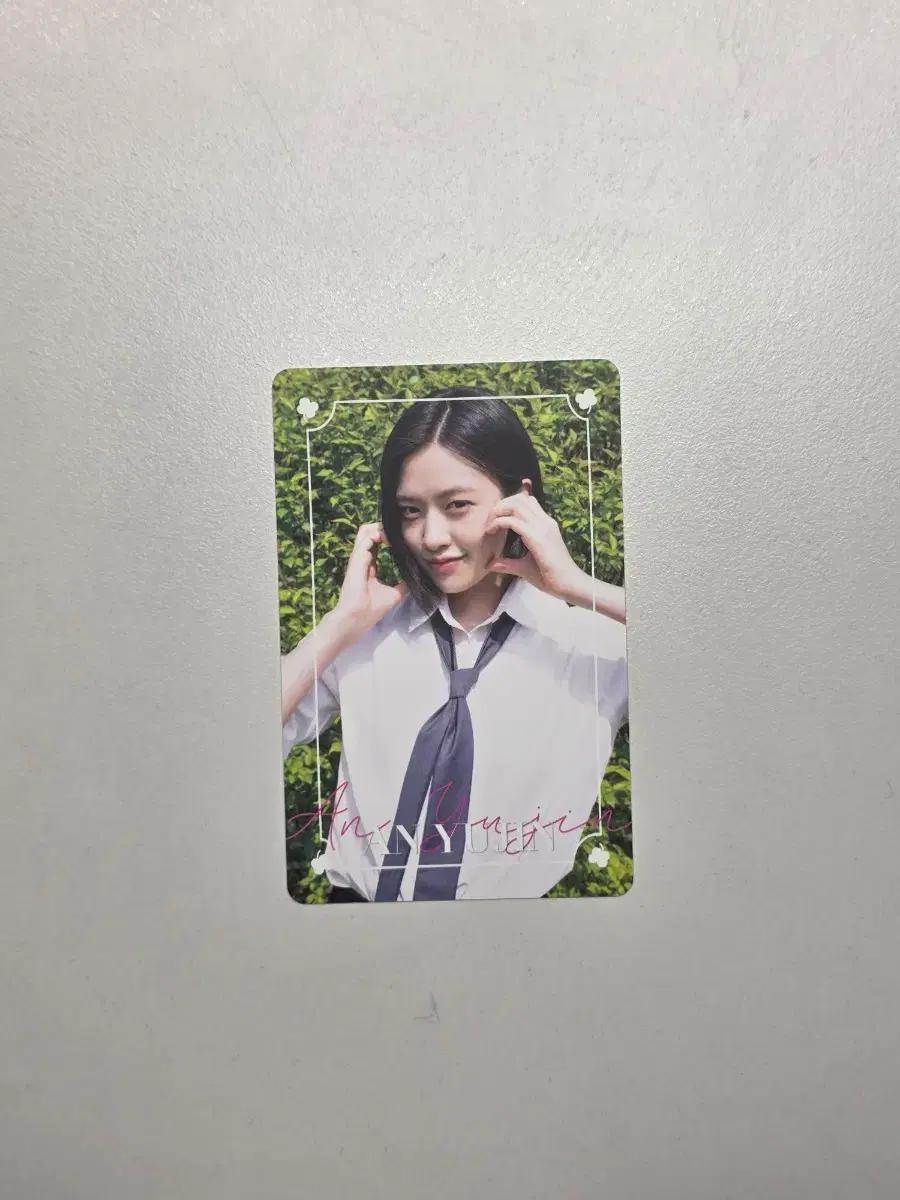 아이브 유진 다이콘 포카