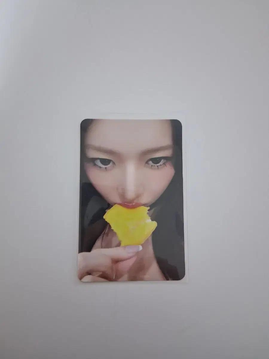 아이브 레이 시크릿 앨포
