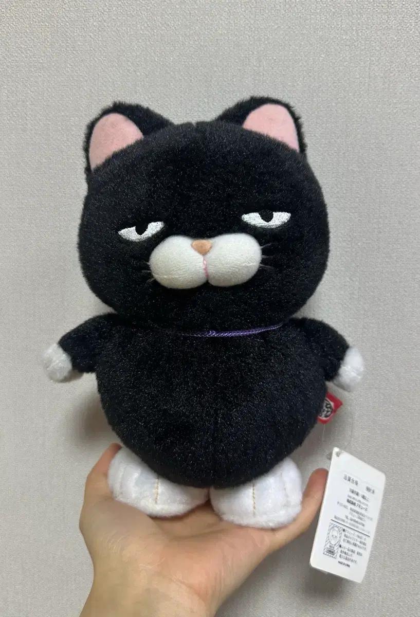 고전 어뮤즈 고양이 (움직입니다!)
