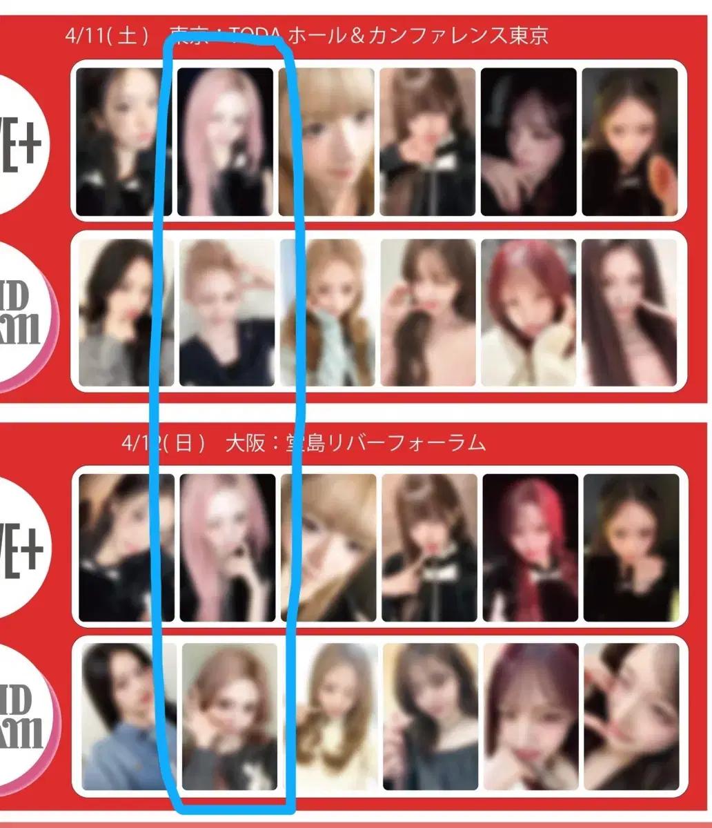 아이브 가을 일본 리바이브 특전 포카 분철 양도