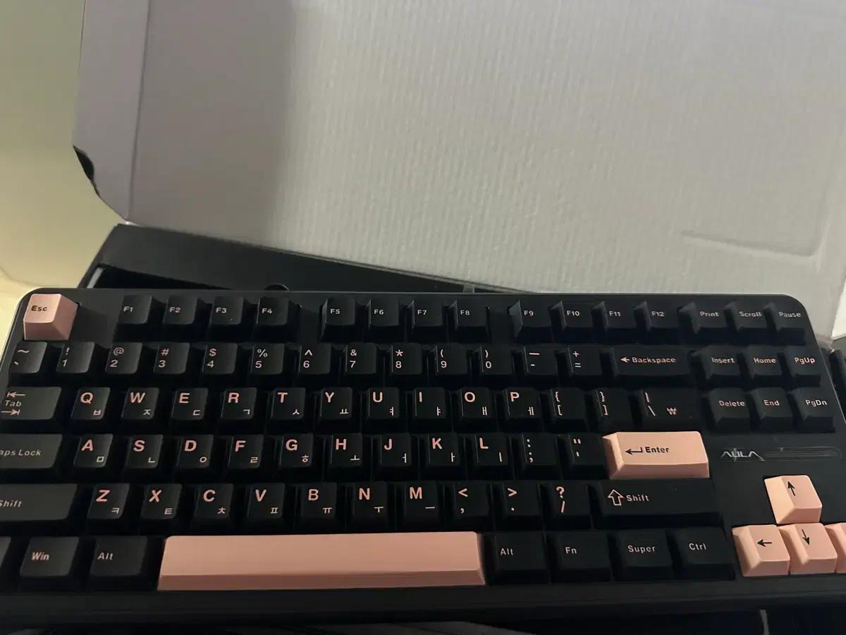 Aula F87 pro