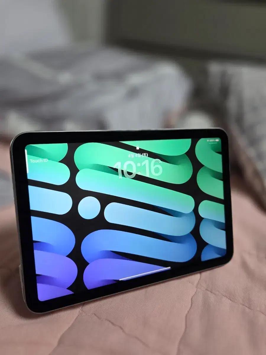 아이패드 미니 7세대 a17 pro 256G + 애플 정품 폴리오 케이