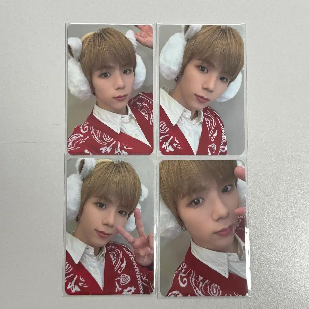 라이즈 쇼타로 NCT 핑크 크리스마스 4장 포카 일괄 양도