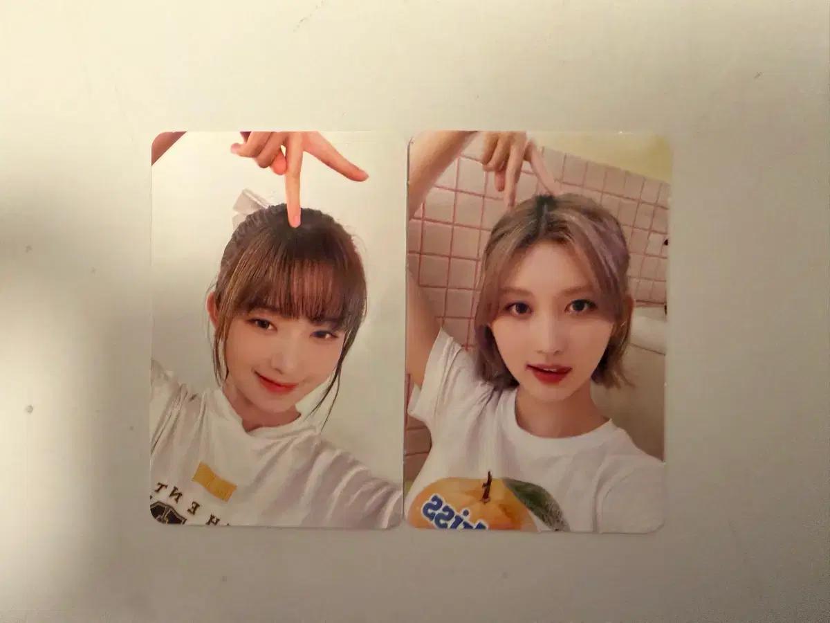 아이브 레이/리즈 시그 특전포토카드 2장 세트
