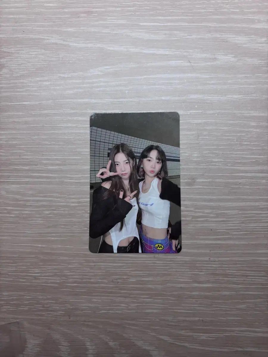 급처) 르세라핌 카즈하 김채원 안티프레자일 포카