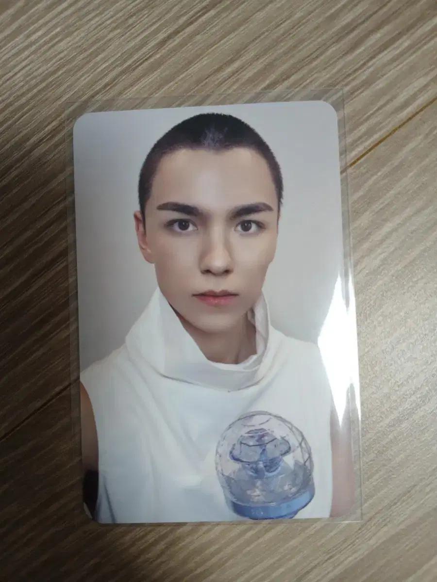 세븐틴 버논 뉴 앙콘 캐럿존