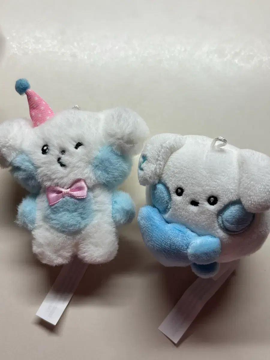 제베원 제로베이스원 김규빈 규니니 제로니