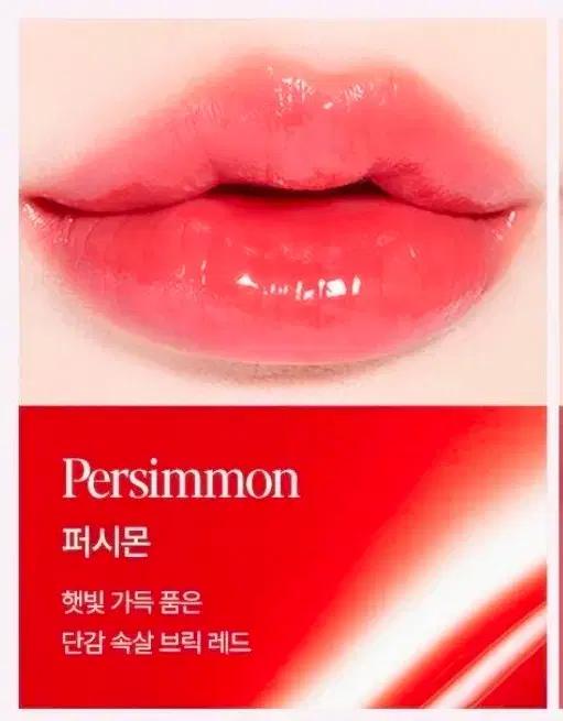 미개봉) 에스쁘아 노웨어 립스틱 바밍 글로우 퍼시몬