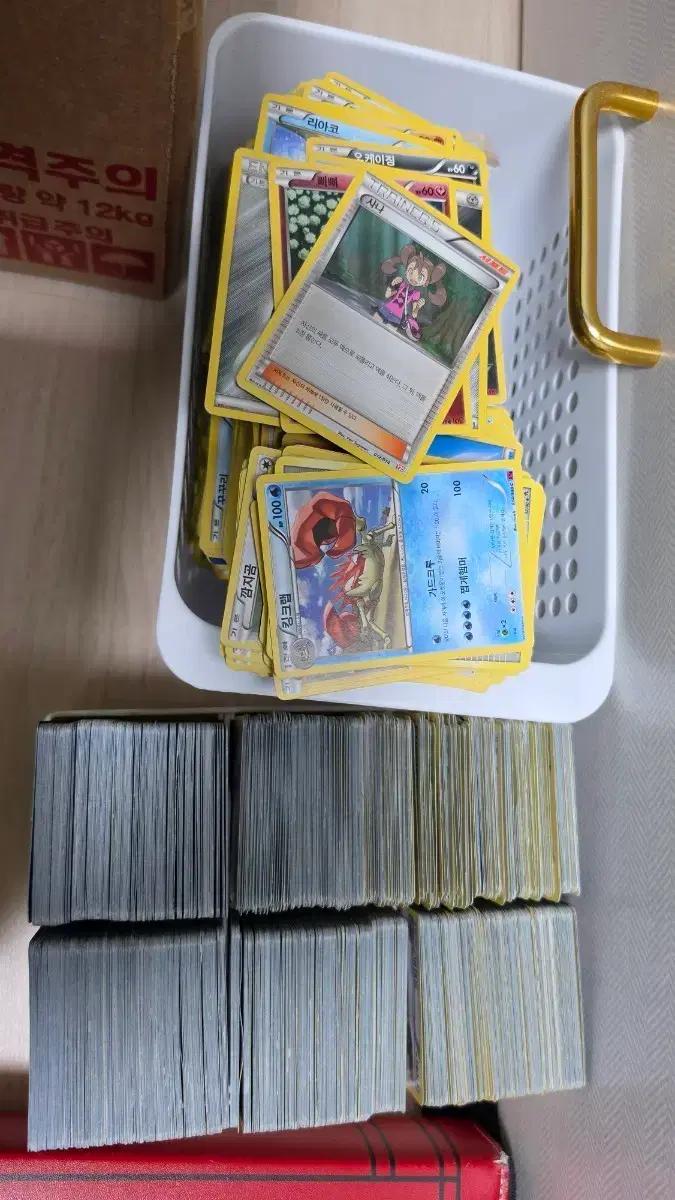 포켓몬 카드 XY BW CP EBB XYD 등등 고대카드들 팝니다.