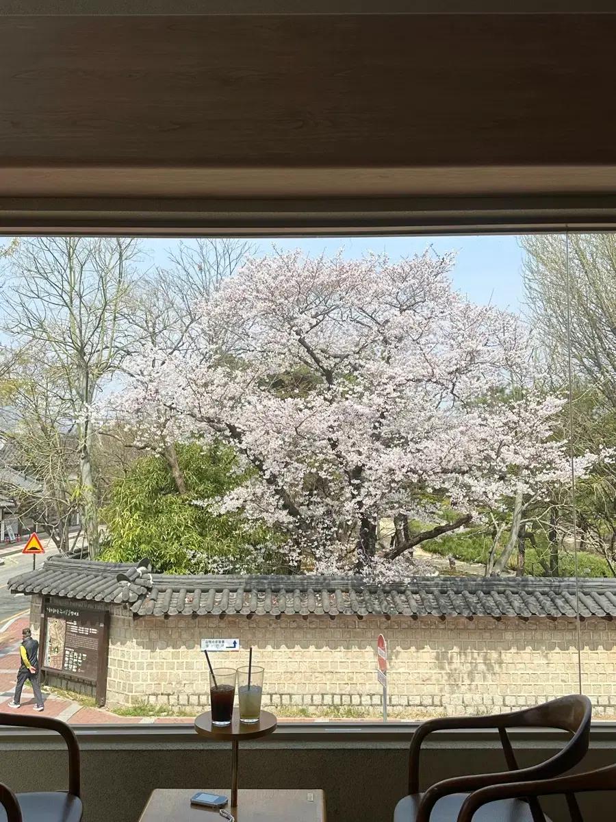 크림 22만원대 대리 구해요 (85%)
