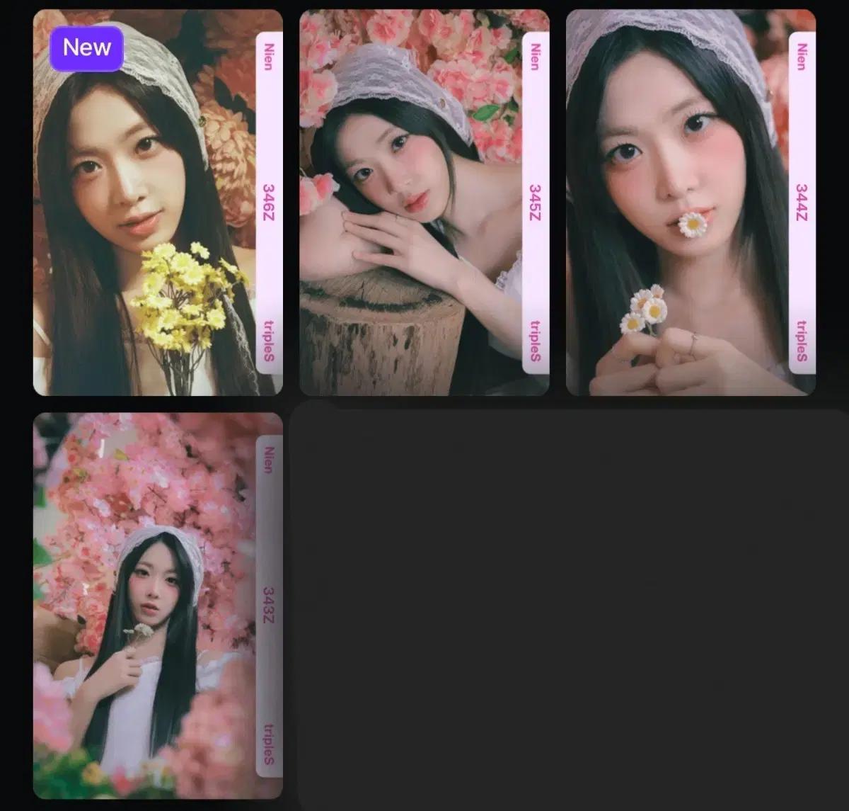 트리플에스 니엔 오브젝트 343 344 345 346