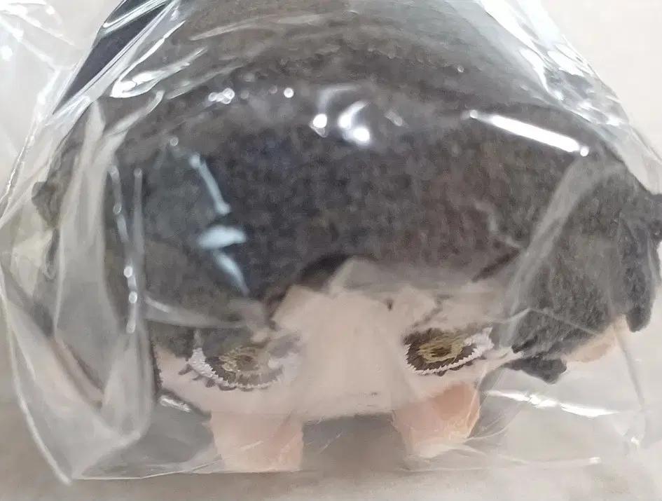 스파이패밀리 다미안 데스몬드 마메코로링 키링