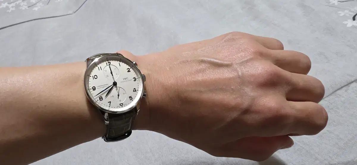 IWC 포르투기저 41mm IW371446