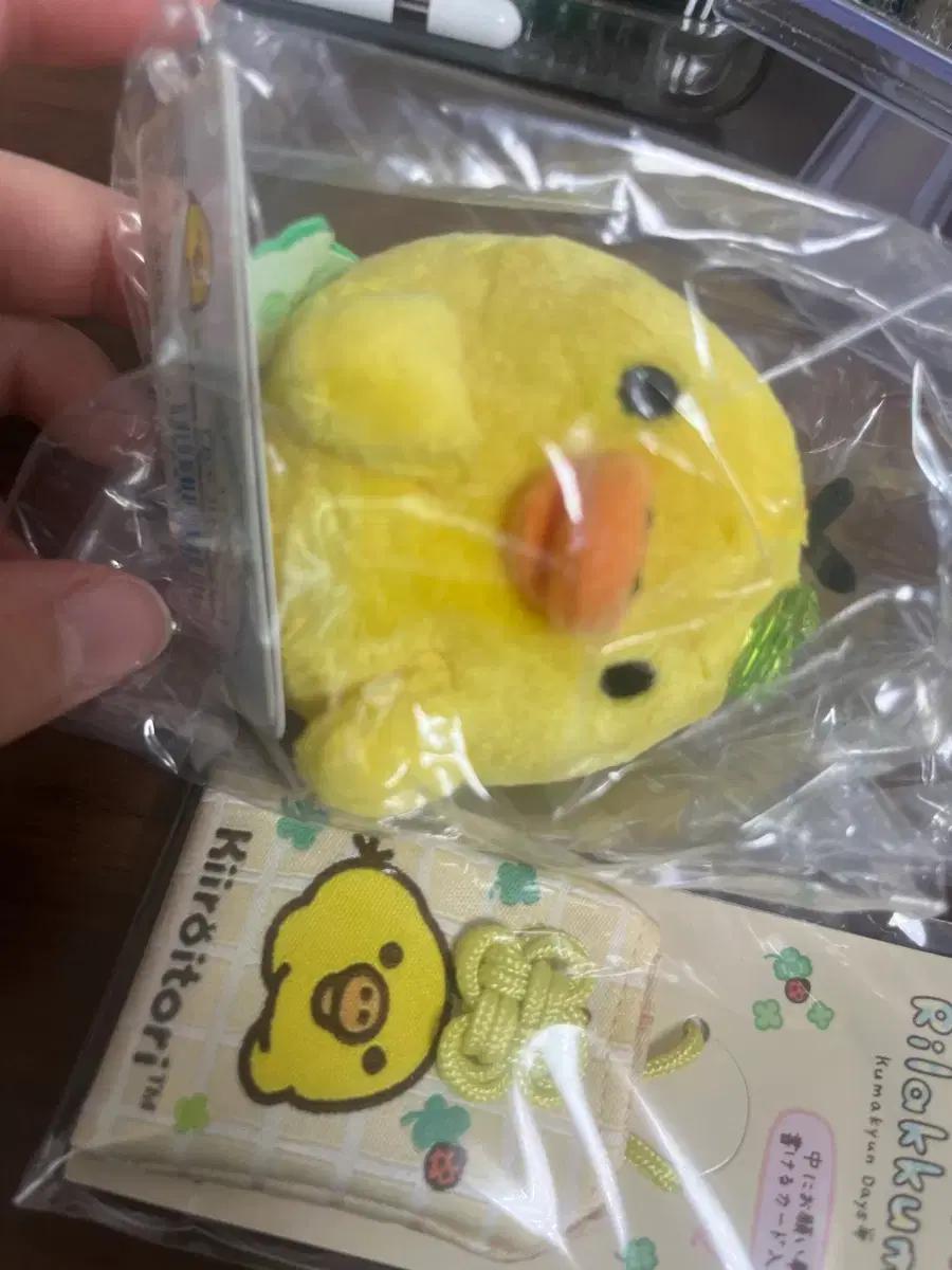 클로버 키이로이토리