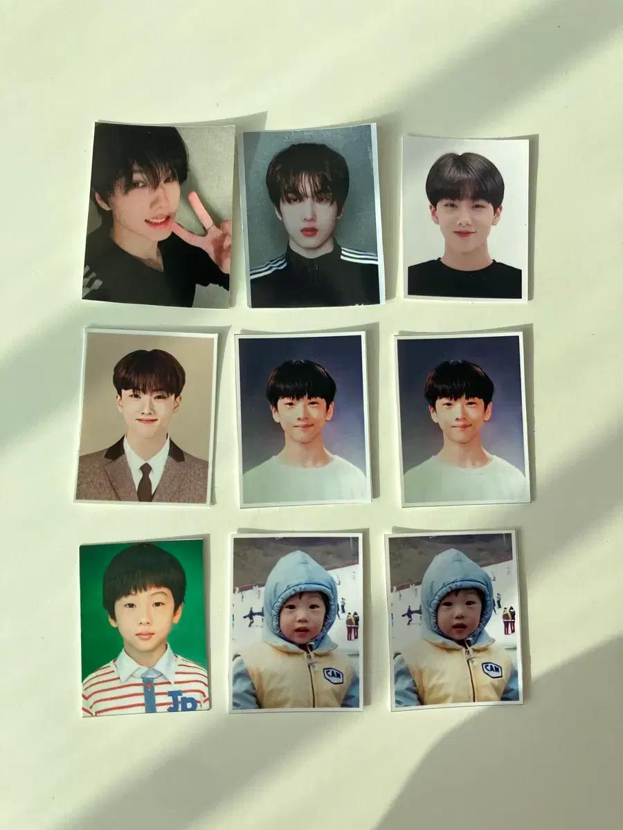일괄!! 엔시티드림 엔드림 지성 증명사진 증사