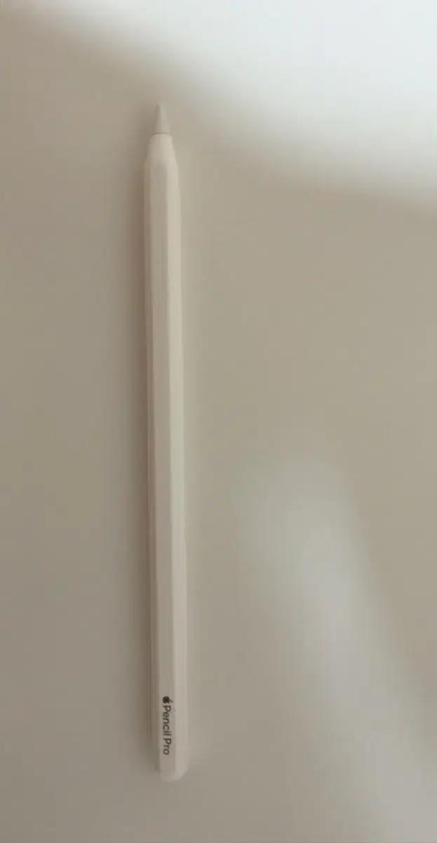 애플펜슬프로