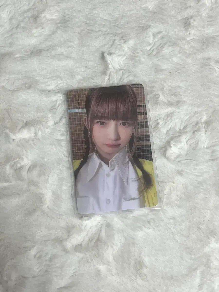 아이브 레이 파파존스 1차 포카