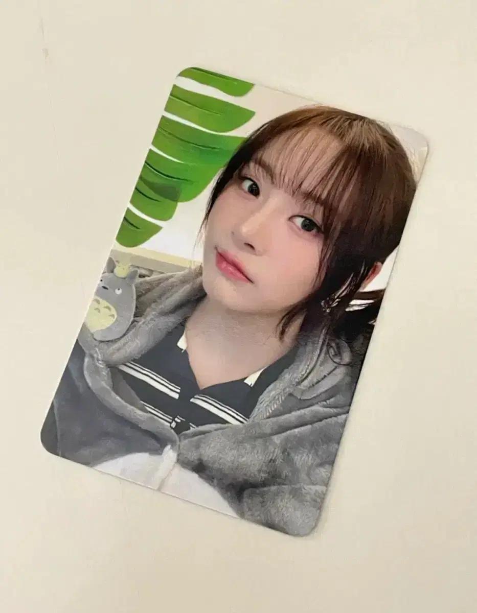 피프티피프티 하나 에버라인 포카 양도